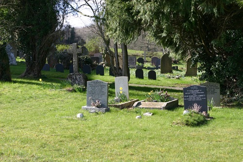 Oorlogsgraven van het Gemenebest St Michael Churchyard #1