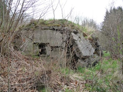 Grenz-Bunker 21 #4