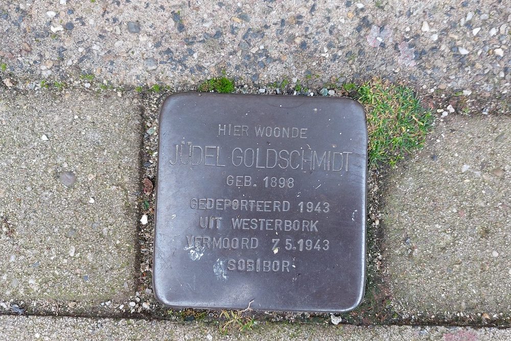 Stolpersteine Pijnackerplein 42b #3