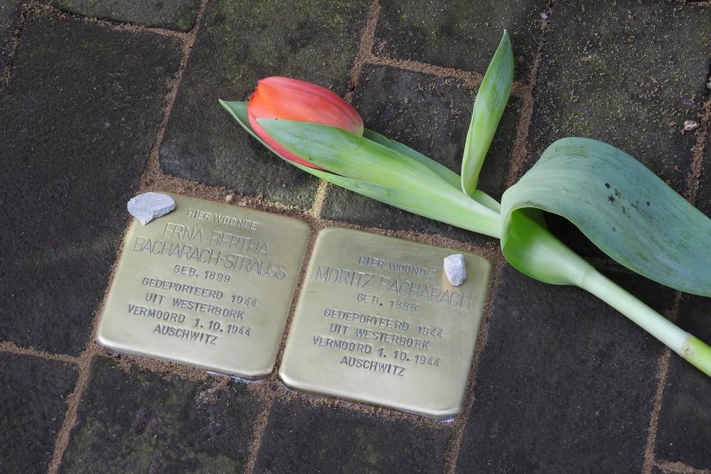 Stolpersteine Dalweg 5 #2