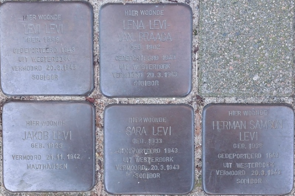 Stumbling Stones Van Vlooswijkstraat 9b #2