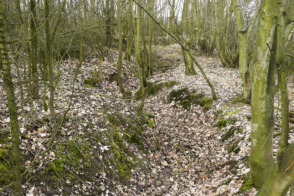 Trenches Wierzenica