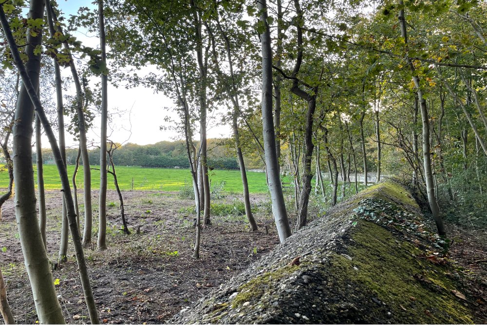 Anti-tank Wall Bergen #3