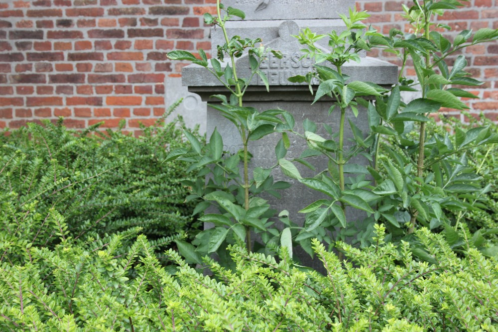 War Memorial Horpmaal #3