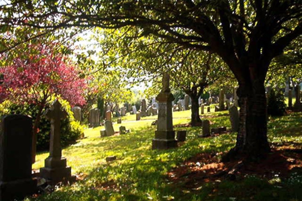 Oorlogsgraven van het Gemenebest Cumbernauld Cemetery #1
