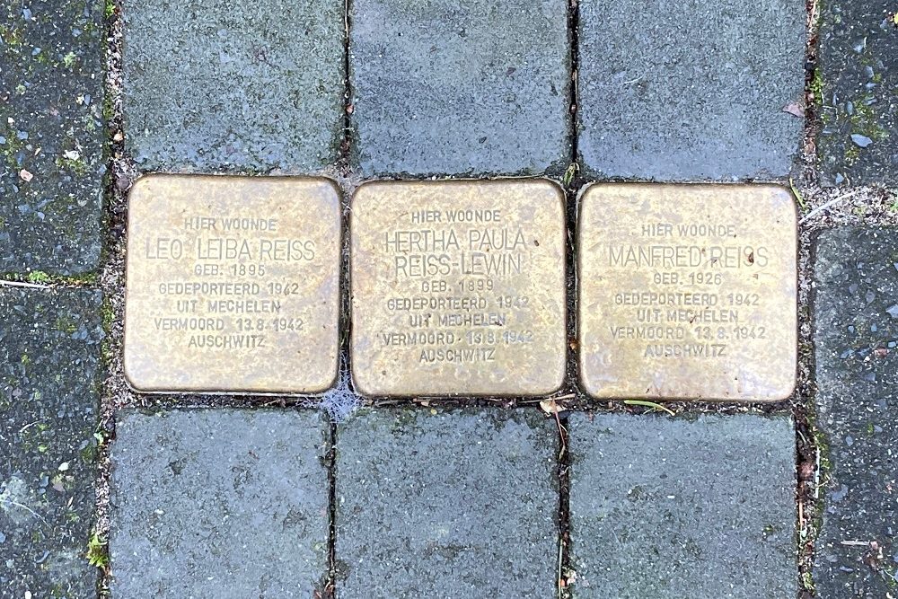 Stolpersteine Wezellaan 8 #3