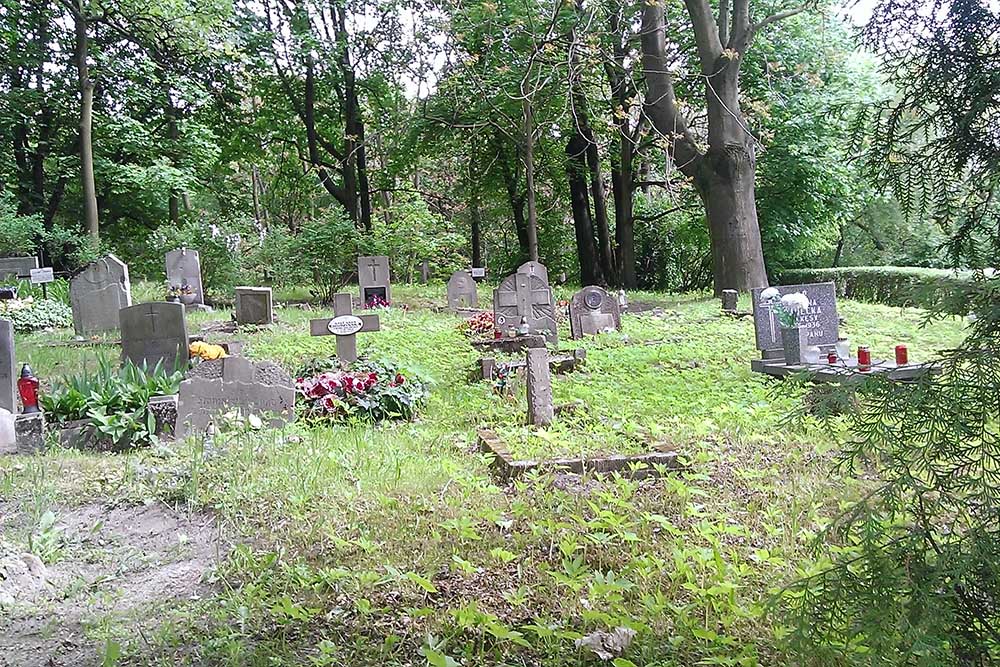Graves Veterans Russian Civil War #1