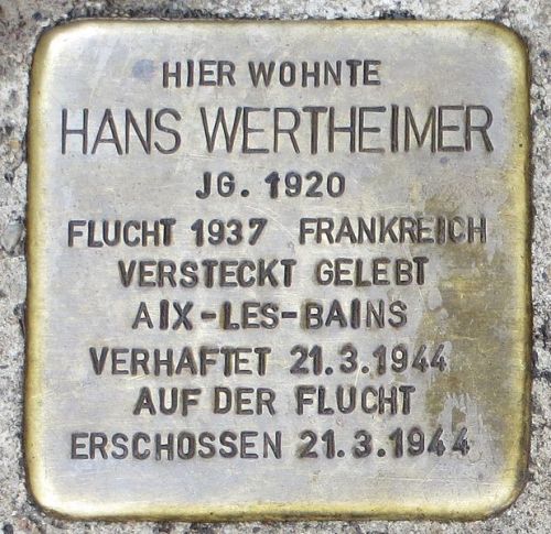 Stolpersteine Groherzog-Friedrich-Strae 9 #1