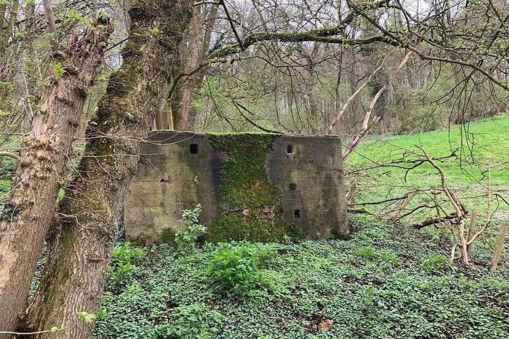 Bunker C - Position Avancée Beusdael #5