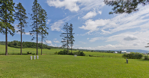 German War Cemetery Nizna Polianka #2