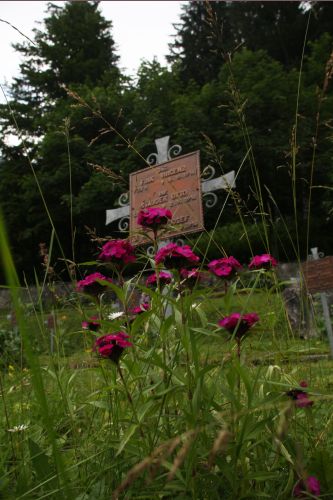 Austro-Hungarian cemetery Plckenpa #5