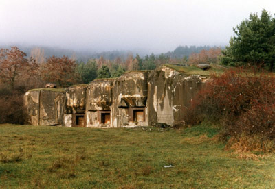 Maginotlinie - Fort Hochwald #1