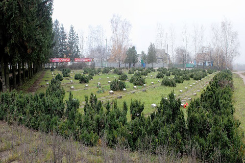 Soviet War Cemetery Subottsi #1