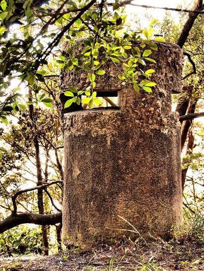 British Pillbox Wong Nai Chung Gap #1