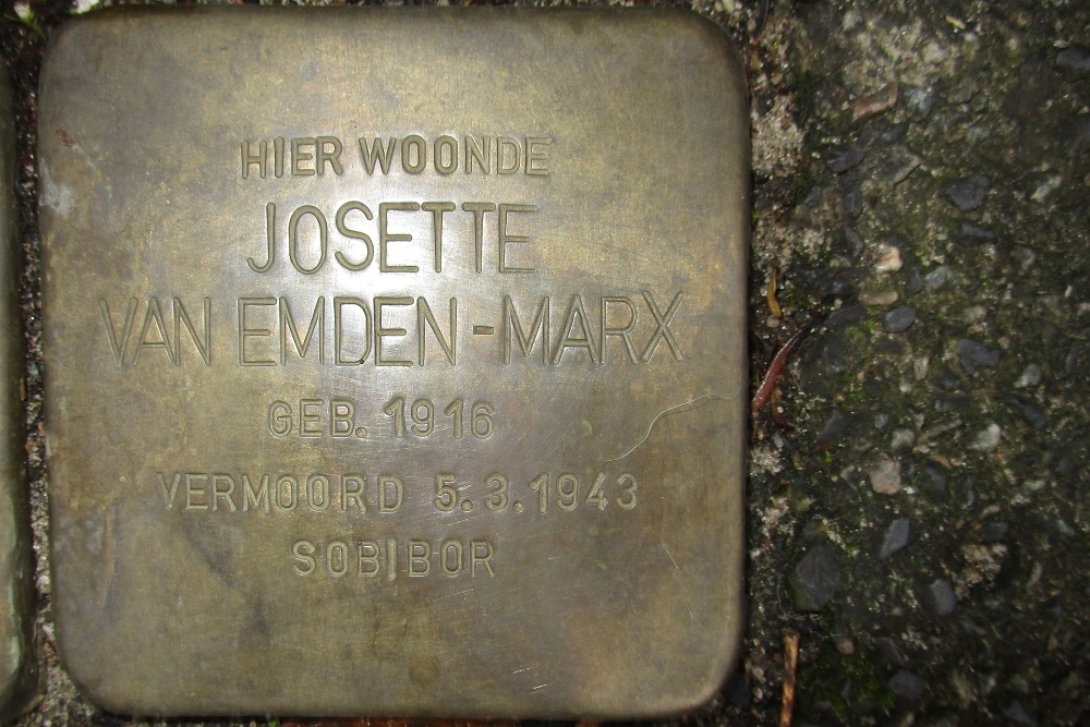 Stolpersteine Johan Winnubstlaan 1 #4