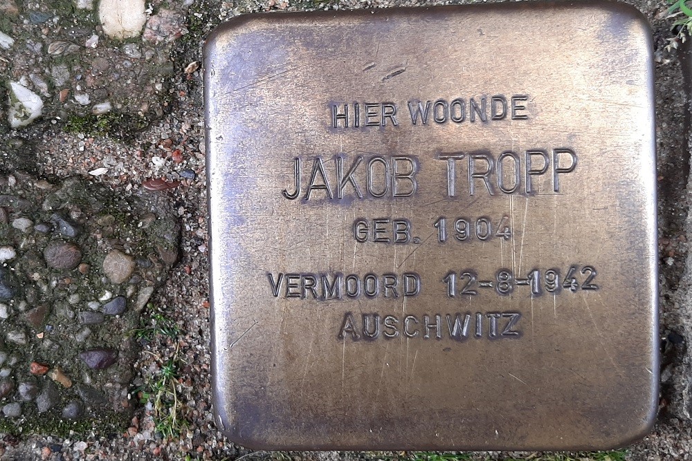 Stolpersteine Manegestraat 36 (voorheen 10) #2