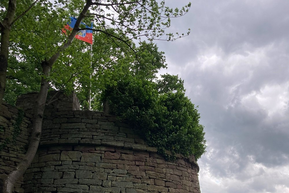 Slag Bij Leipzig Monument Bodenwerder #4