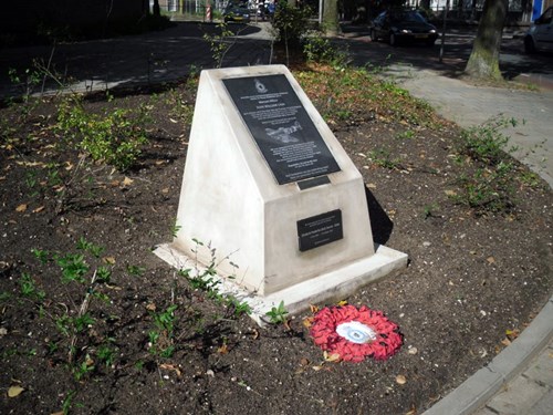 Mogelijk monument voor Nieuw-Zeelandse piloot