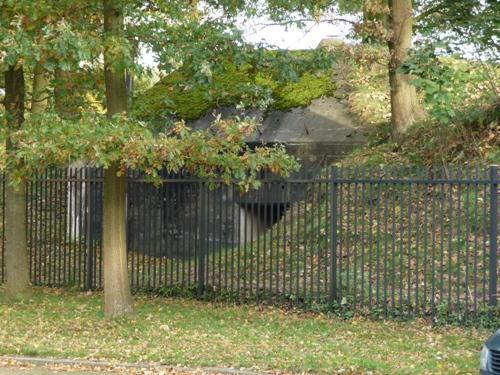 Group Shelter Type P Fort Blauwkapel #1