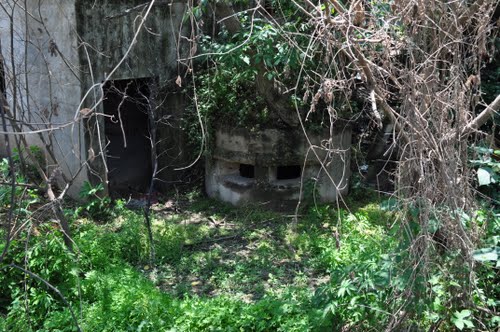 Japanese Pillbox Wuhan #1