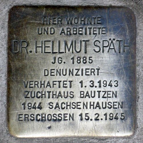 Stolperstein Spthstrae 80-81