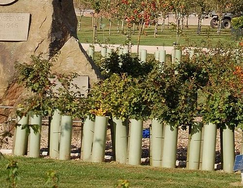 Animals in War Memorial