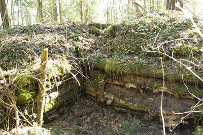 German Trenches Udria #3