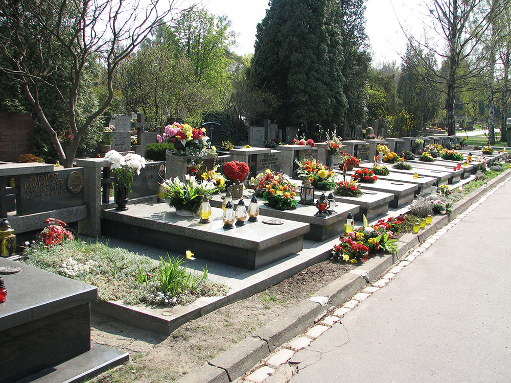 Cmentarz Wojskowy #1