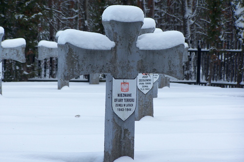 Poolse Oorlogsbegraafplaats Wiktorow #2