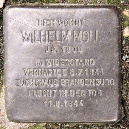 Stumbling Stone Wittelsbacherstrae 34 #1