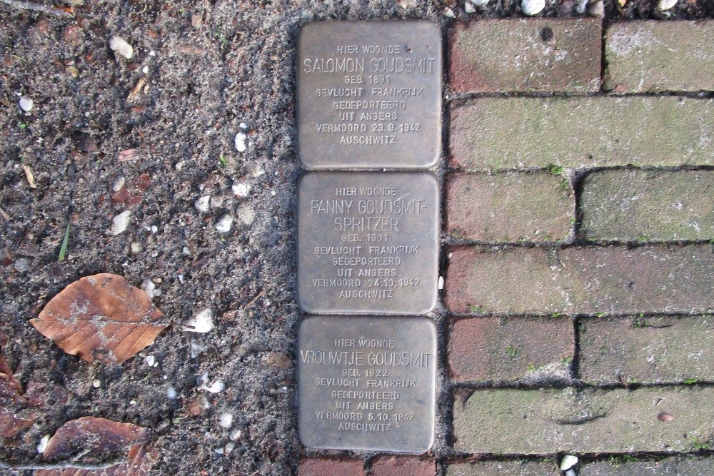 Stolpersteine Van Ostadelaan 6 #1