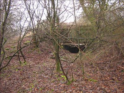 Westwall - Regelbau 23 MG-bunker Kronenburg