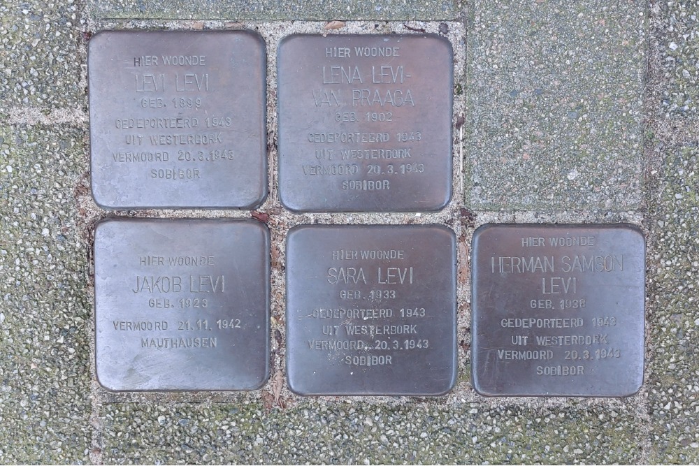 Stumbling Stones Van Vlooswijkstraat 9b #1
