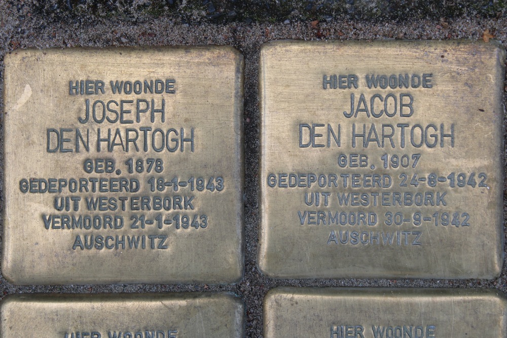 Stolpersteine Van Naeltwijckstraat 40 #2