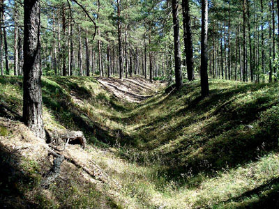 Harparskog Linie - Loopgraaf