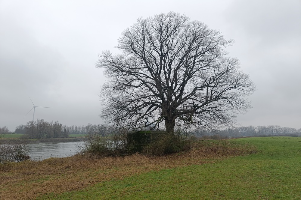 B-Casemate IJssel Velp