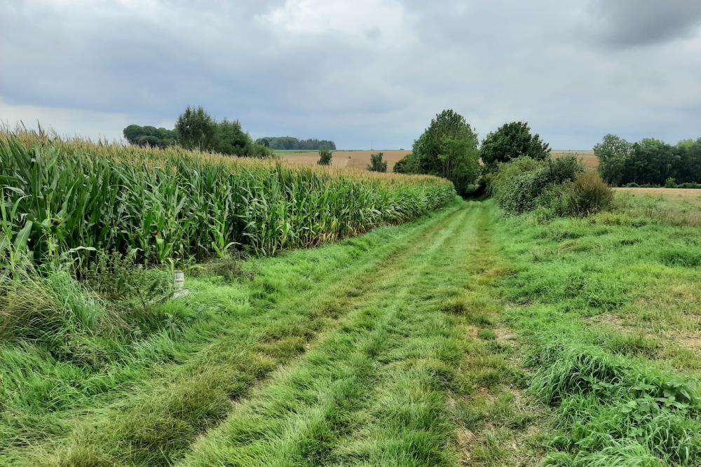 The Sunken Lane #2