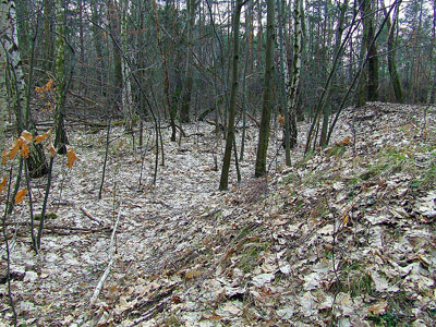 Vesting Warschau - Fort XII (Antoninów) #1