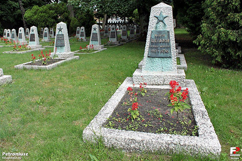 Soviet War Cemetery Wolsztyn #1