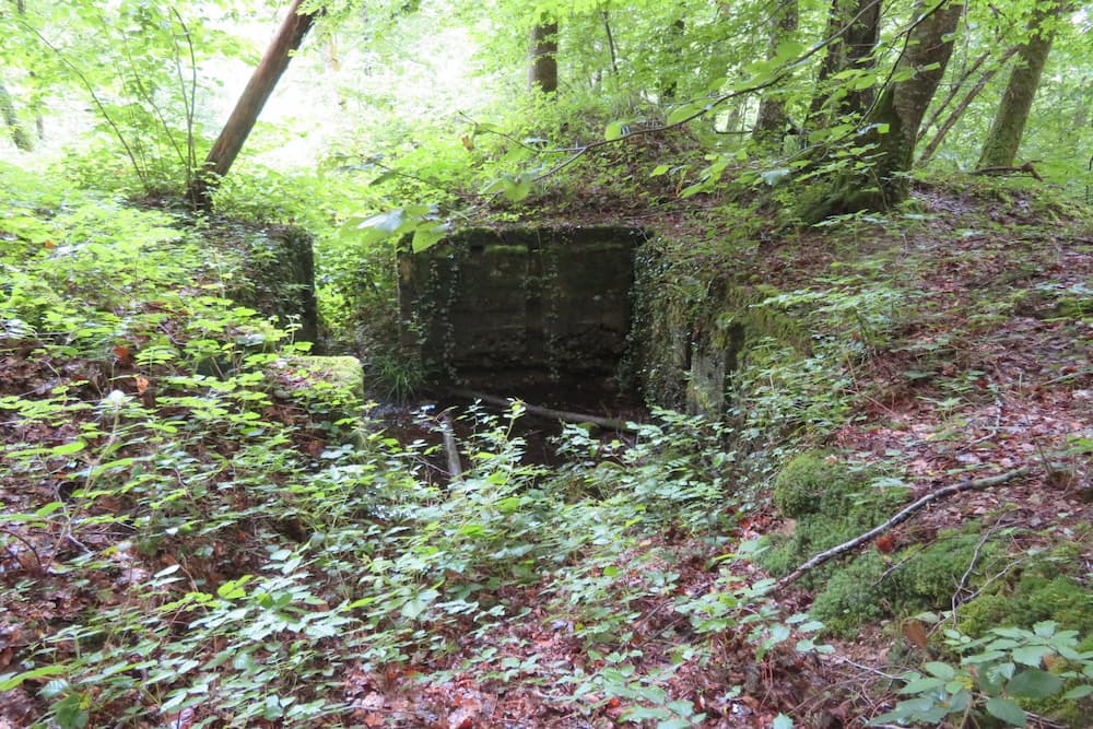 Duitse Bunker Mooslargue #2