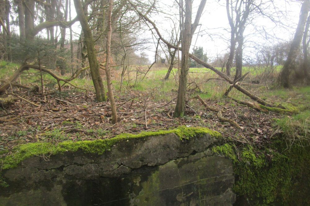 Westwall - Bunker Remains #2