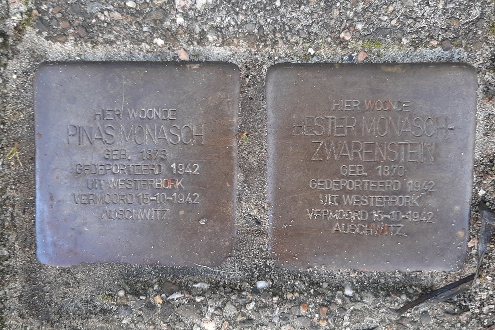 Stolpersteine Delfgaauwstraat 50 #1