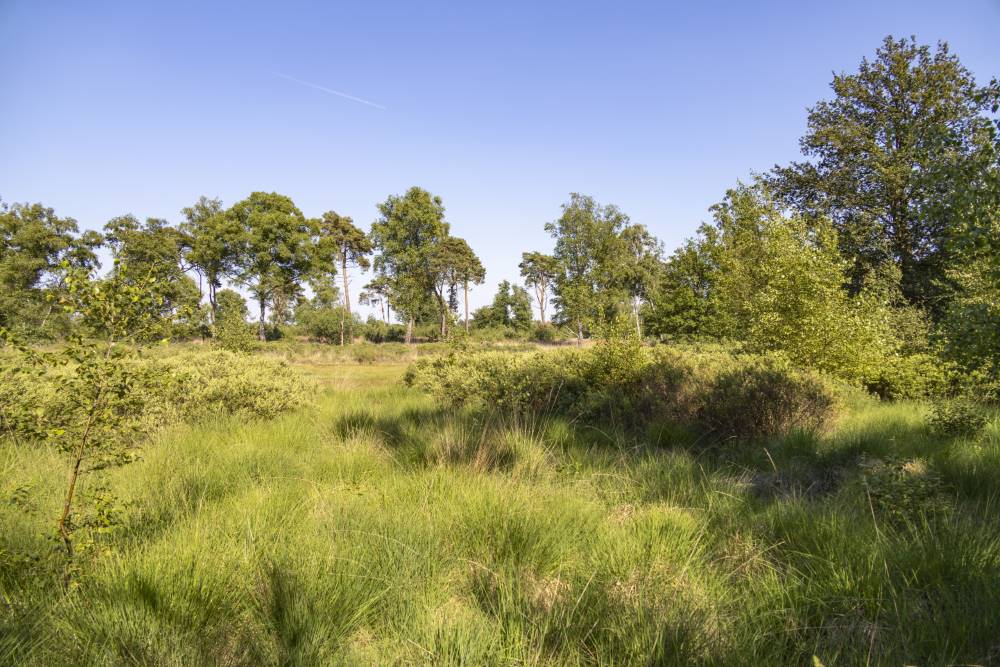 Crashlocatie Messerschmitt Bf 110 G-4 