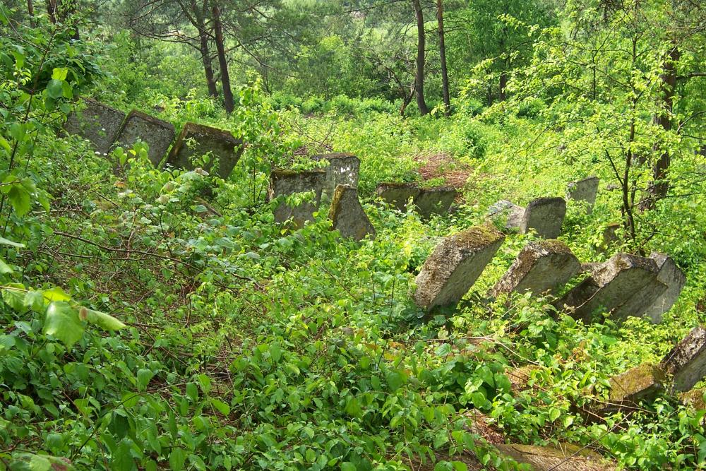 Jewish Cemetery Józefów #2