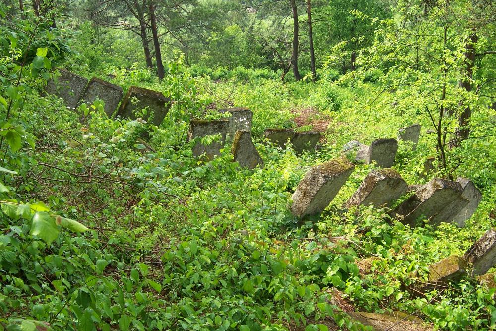 Jewish Cemetery Jzefw #2