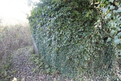 Pillbox FW3/28A Woolhampton #2