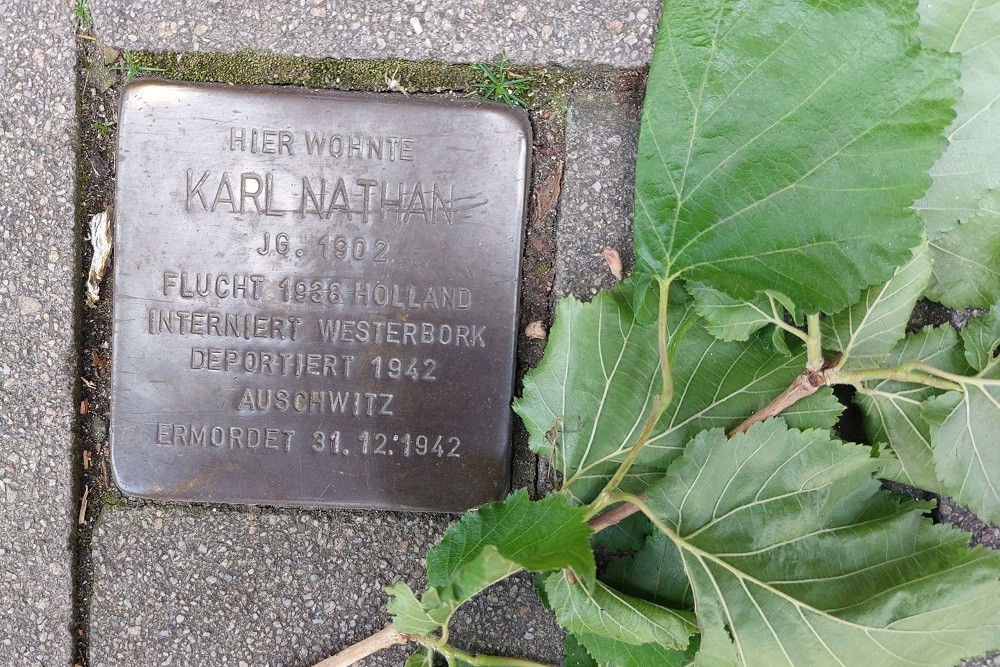 Stolperstein Kastrae 1 #1