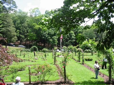 Memorial Rose Garden #1