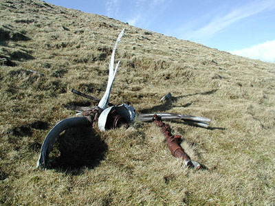 Crashlocatie & Restant Short Sunderland ML 858 St. Kilda #2