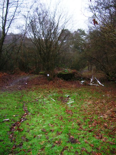 Bunker FW3/24 Boars Head #2